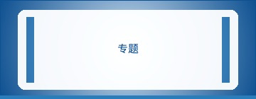 实战案例完整指南